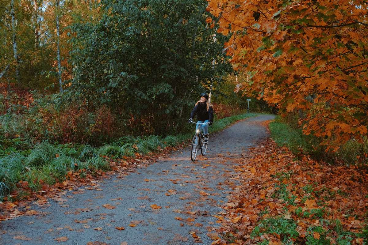 Cyklist på en Pelago Airisto Commuter på en sti i efterårsskoven