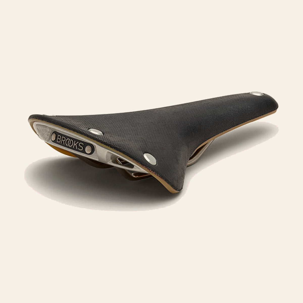 Brooks Cambium C17, special sort